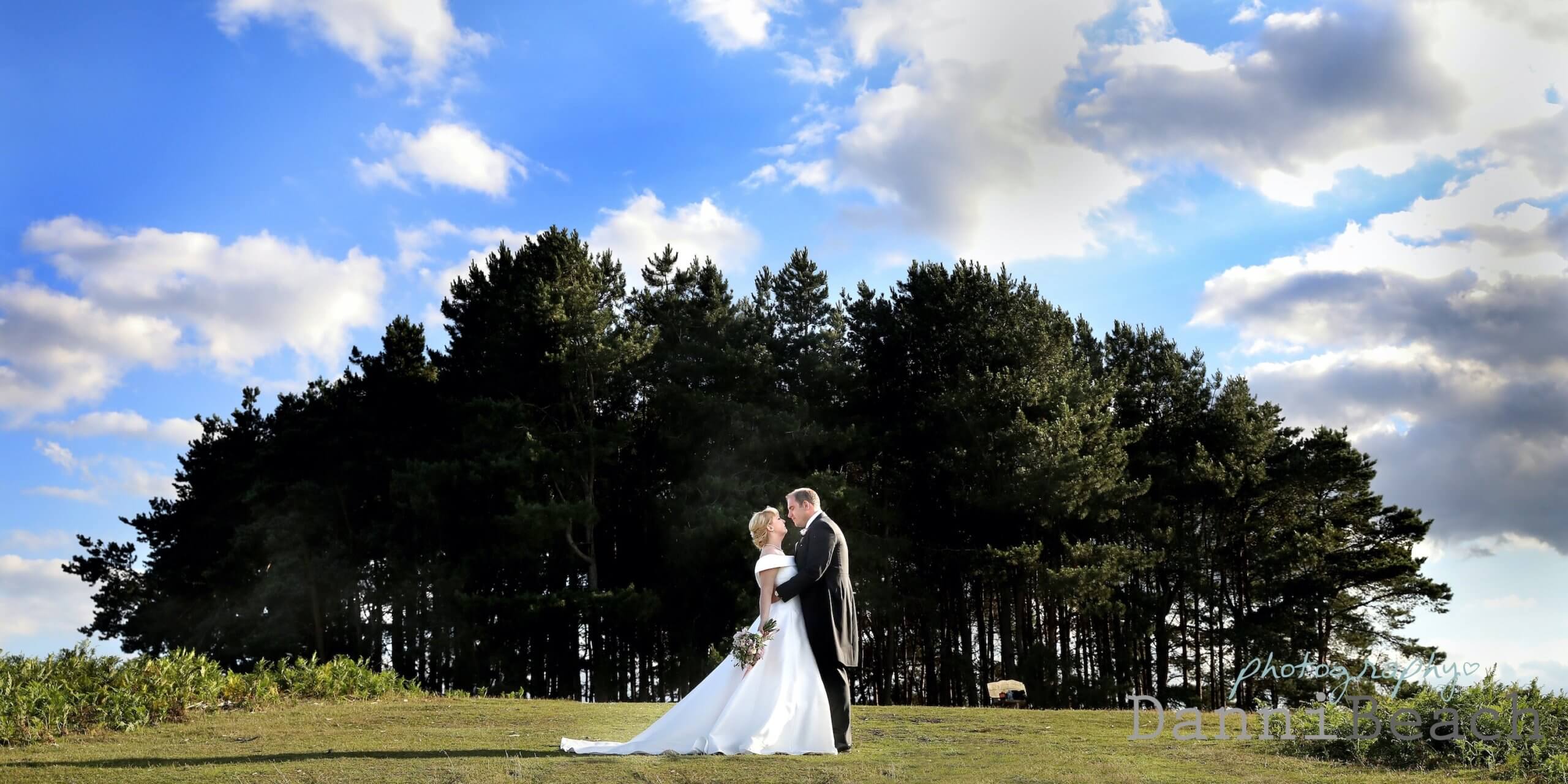ASHDOWN FOREST WEDDING PHOTOGRAPHER